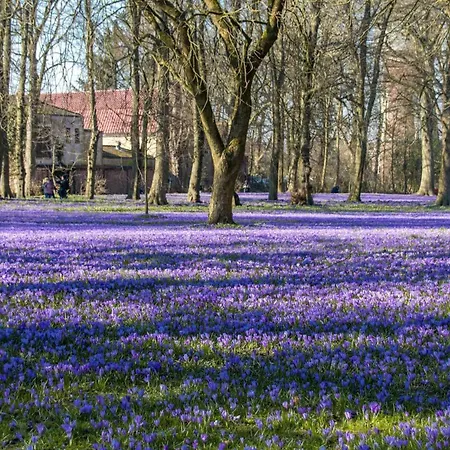 Wattschnecke Lägenhet