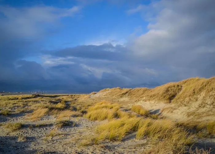 Wattschnecke Lägenhet
