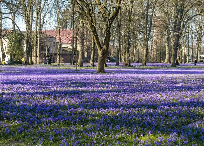 Wattschnecke Lägenhet
