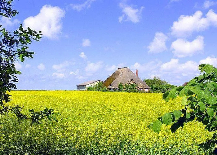 Wattschnecke * Böhl